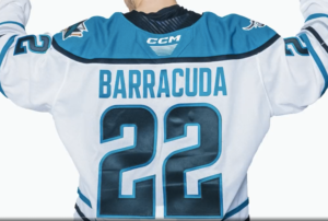 New San Jose Barracuda jersey - back